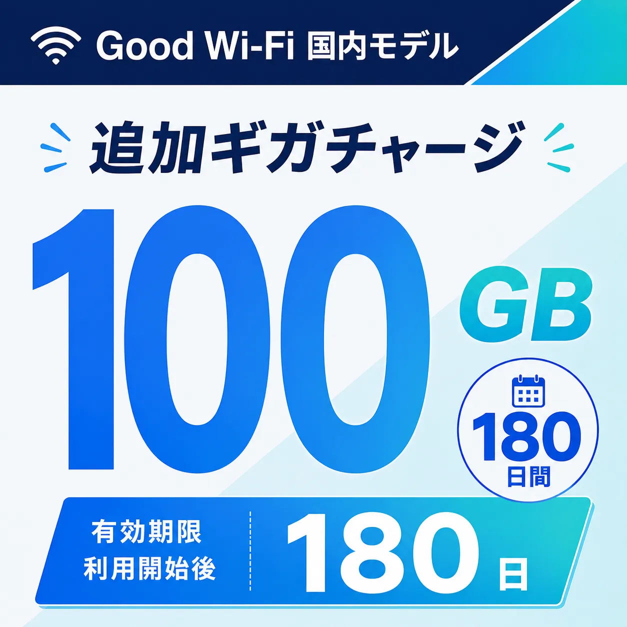 100GB / 180日間
